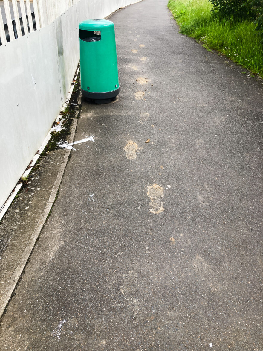 Photograph looking down at a concrete path with muddy footprints that start a few feet into the scene. A green bin is visible to the top of the frame, white metal fence to the left and lawn to the top right of the frame.