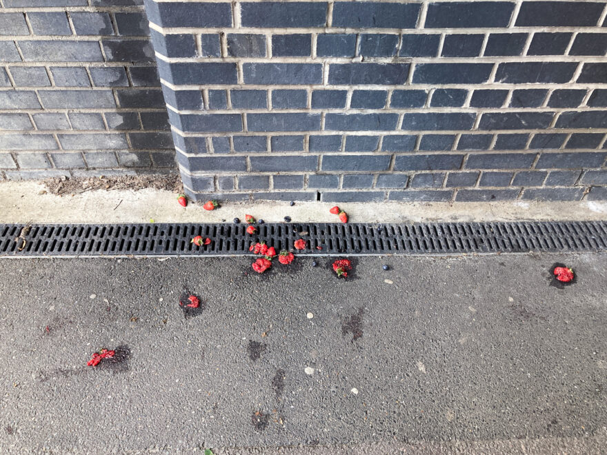 Photograph looking down at a concrete path with multiple splatted strawberries and blueberries dropped on the ground. A black grate runs along the side of it and a black brick wall fills the top half of the frame.