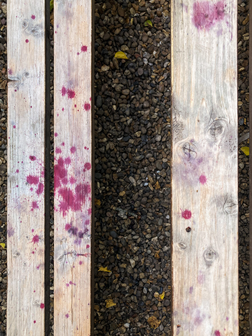 Photograph looking down at a wooden picnic bench splattered with juice from fallen mulberries.