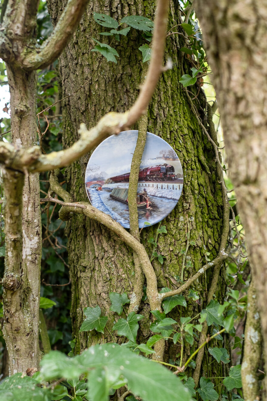 Photograph of a plate with an illustrated scene of a steam train and a canal boat on the surface, it is being held against tree by climbing plants.