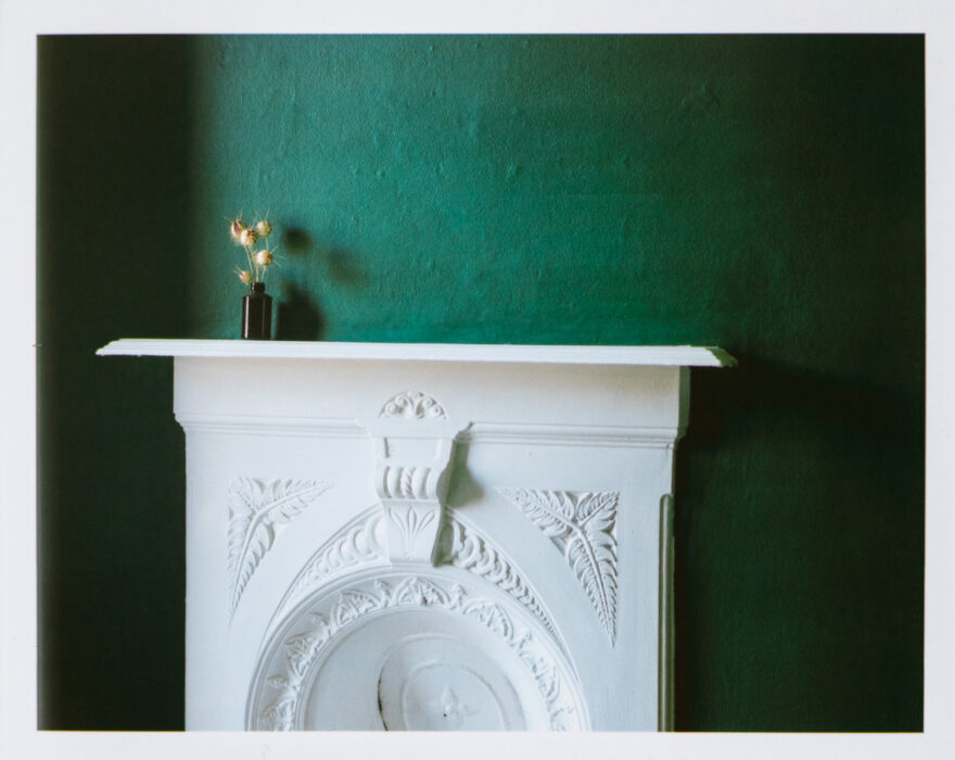 A test shot with last year's nigella seedheads. The print shows an ornate white fireplace with a fern pattern on it, with a dark green painted wall behind and a small black vase on the mantelpiece to the left, with dried nigella seedheads in it.