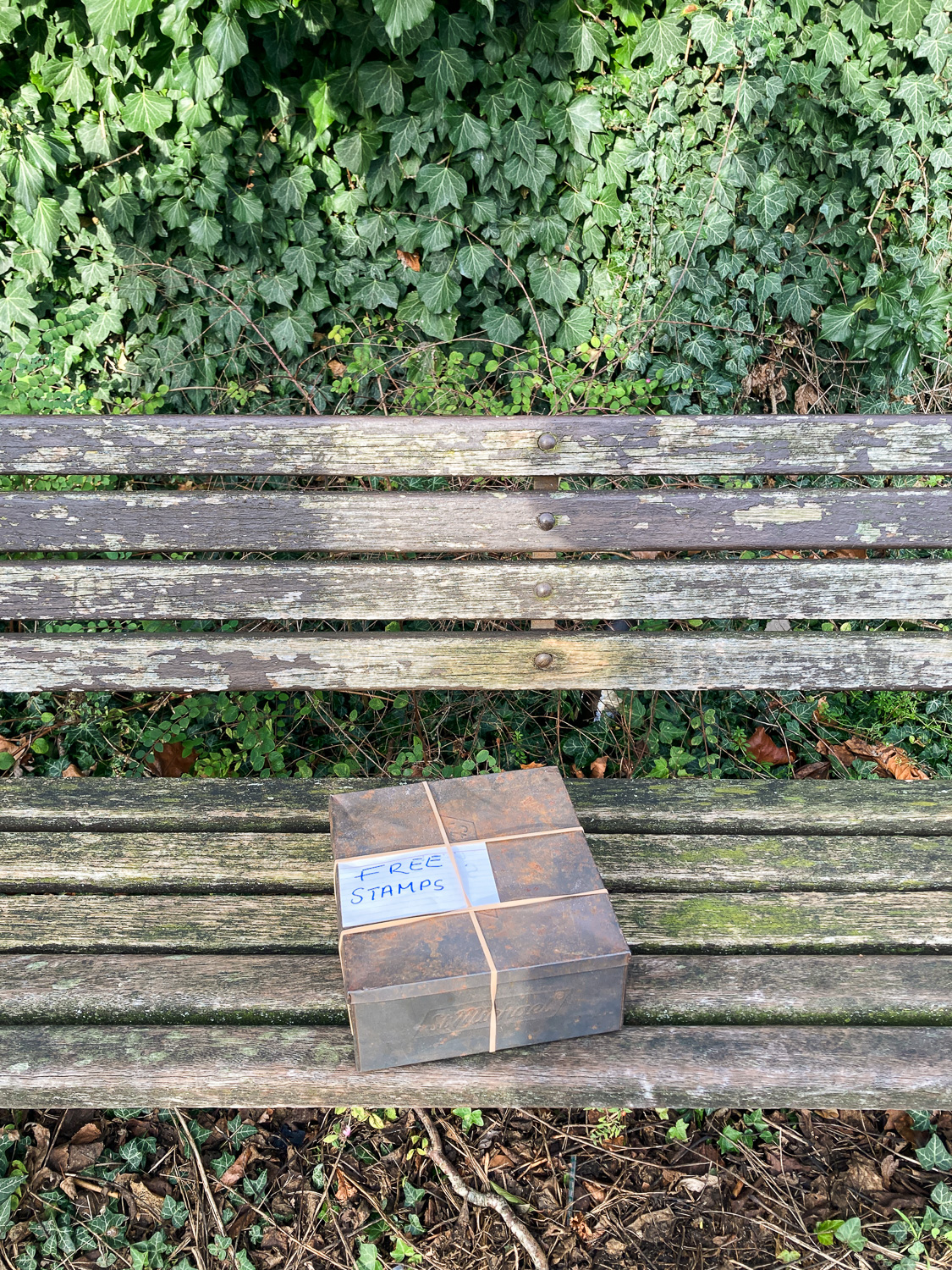 Colchester, December 2024. Photograph of an old metal box held together with rubber hands, with a handwritten label saying 'FREE STAMPS' on the top. The box is on a worn wooden bench, with foliage behind.