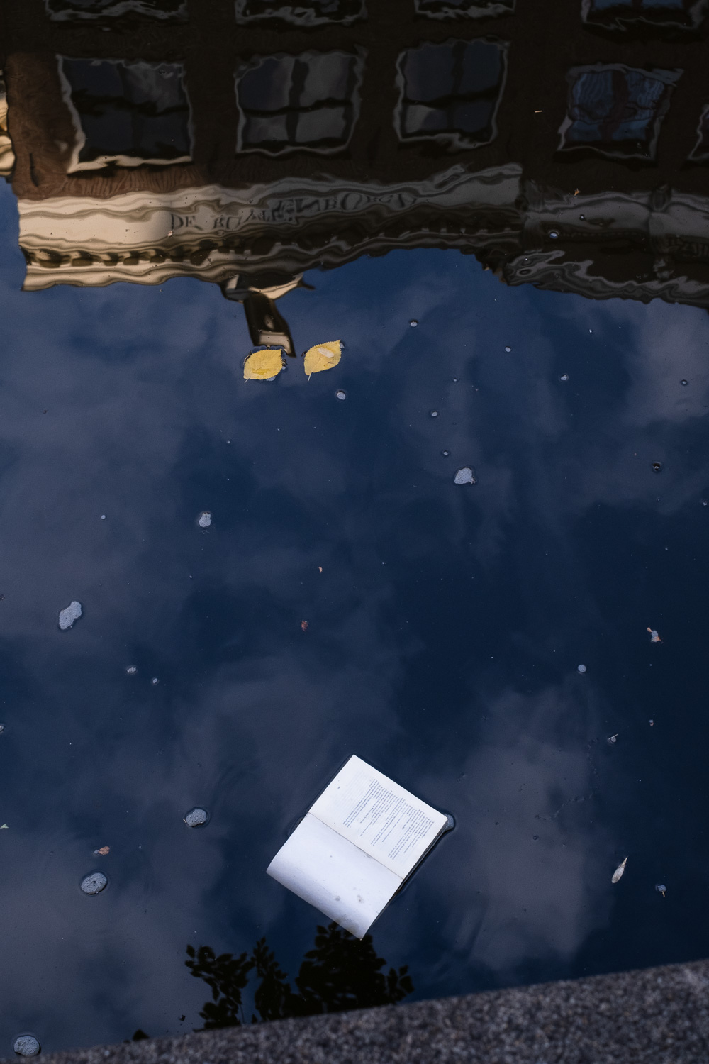 Photograph of an open book floating in a canal, with the reflection of buildings in the top portion of the frame, a couple of yellow leaves floating and clouds reflected across the surface.