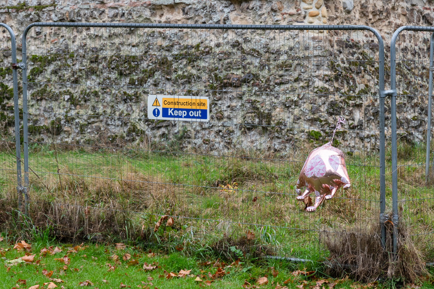 Photograph of a metal temporary fence on a grassy patch in front of an old brick wall (Colchester Castle), with a sign saying 'Construction site, Keep out' and a pink crown metallic balloon tied to a fence, upside down as it is deflated.
