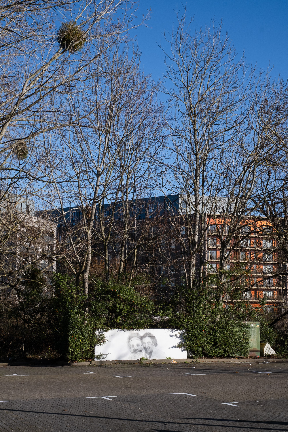 Photograph of a white wall with street art depicting Orville the Duck and Keith Harris. The wall is in a car park, with foliage around it, bare trees above (with mistletoe on some high branches to the left), with apartment buildings and deep blue sky visible behind.