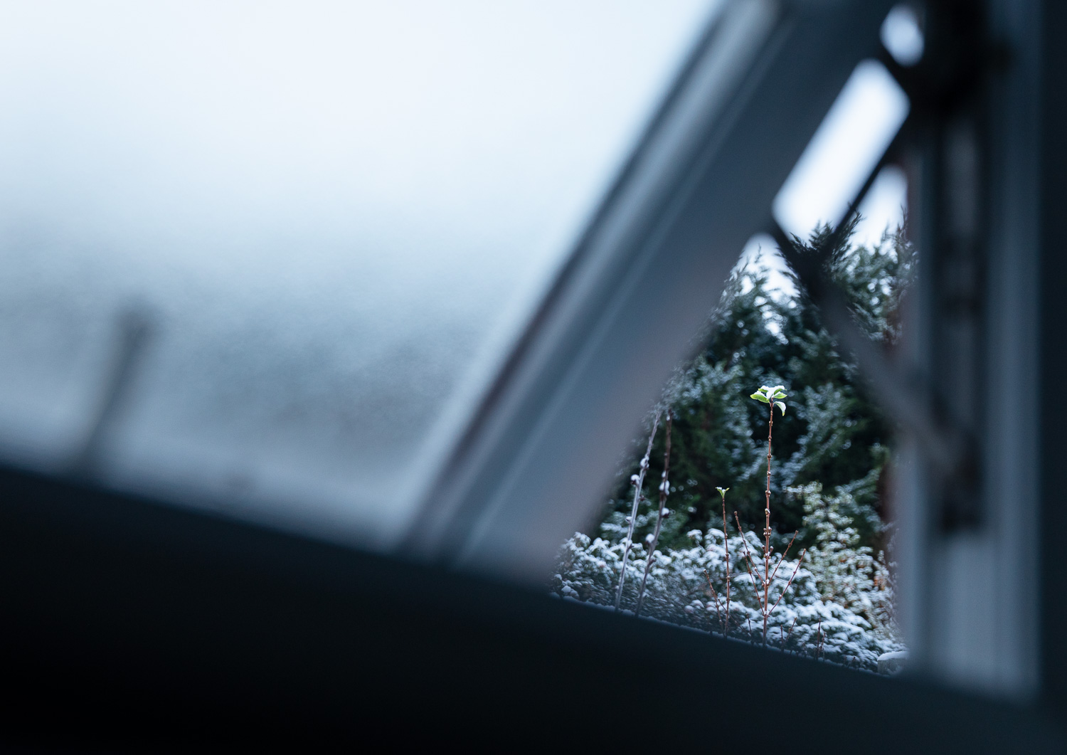 MONDAY MORNING VIEW, TRIVIAL MATTER