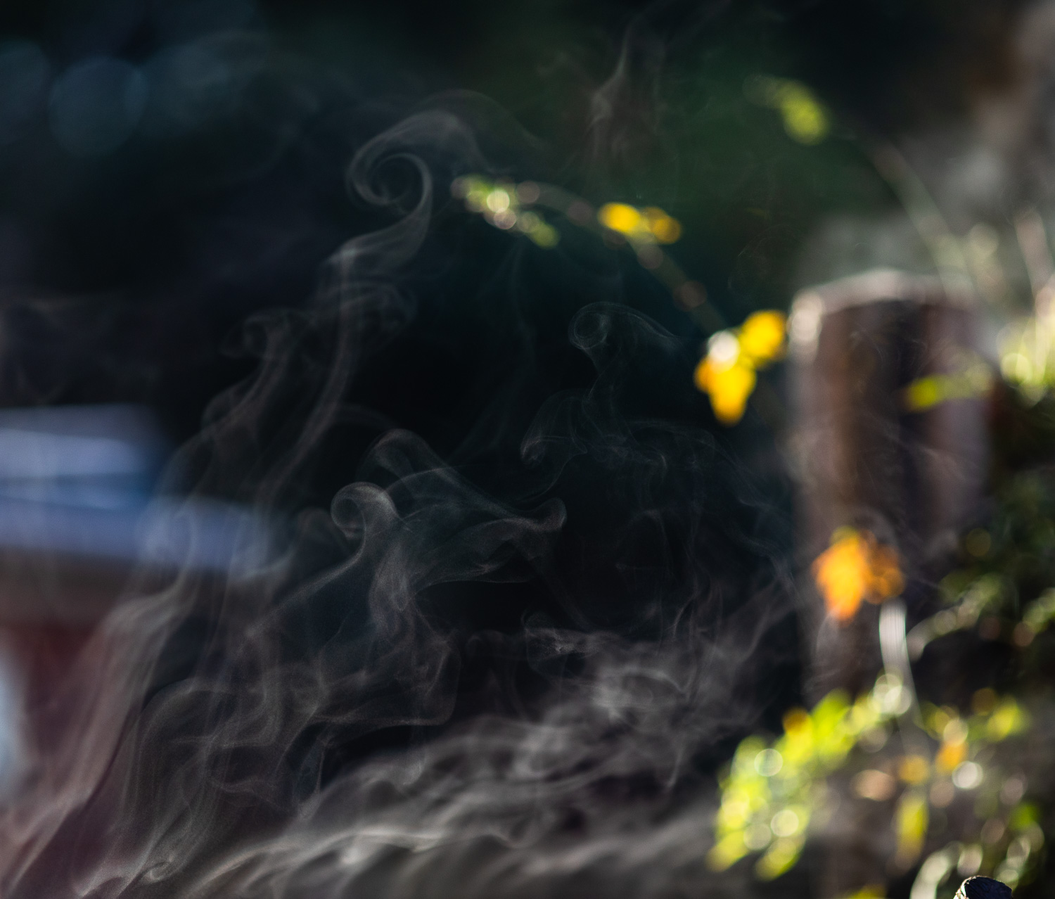 Photograph of steam rising in curly trails, with plants and buildings out of focus behind. Sunlight is hitting the steam so it high contrast.