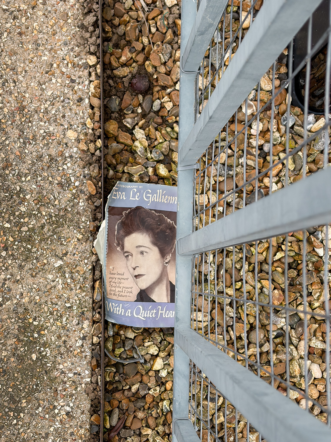 Hampton Court, London, UK, February 2026 Photograph looking down at a book jacket featuring a portrait of a woman, with the words 'Eva Le Gallienn... With a Quiet Heart', visible. The jacket is on a gravel path with a metal fence visible to the right.