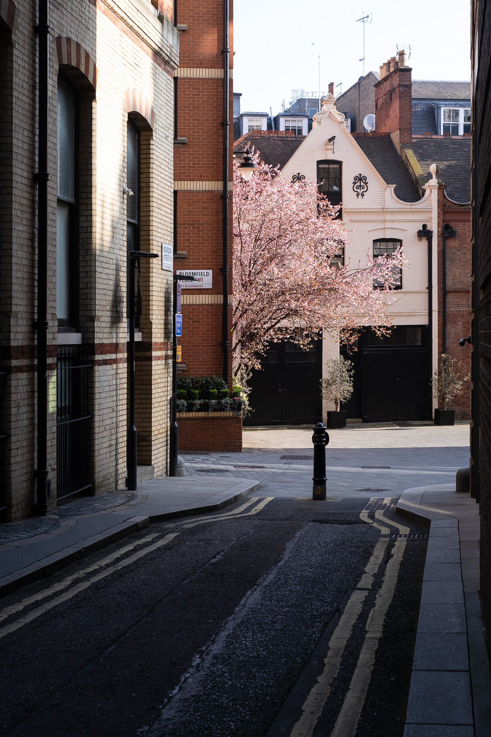 Photograph looking down a narrow road in the shade, towards an opening with a pink blossom tree in front of a peach building with ornate facade, both of which are bathed in sunshine.