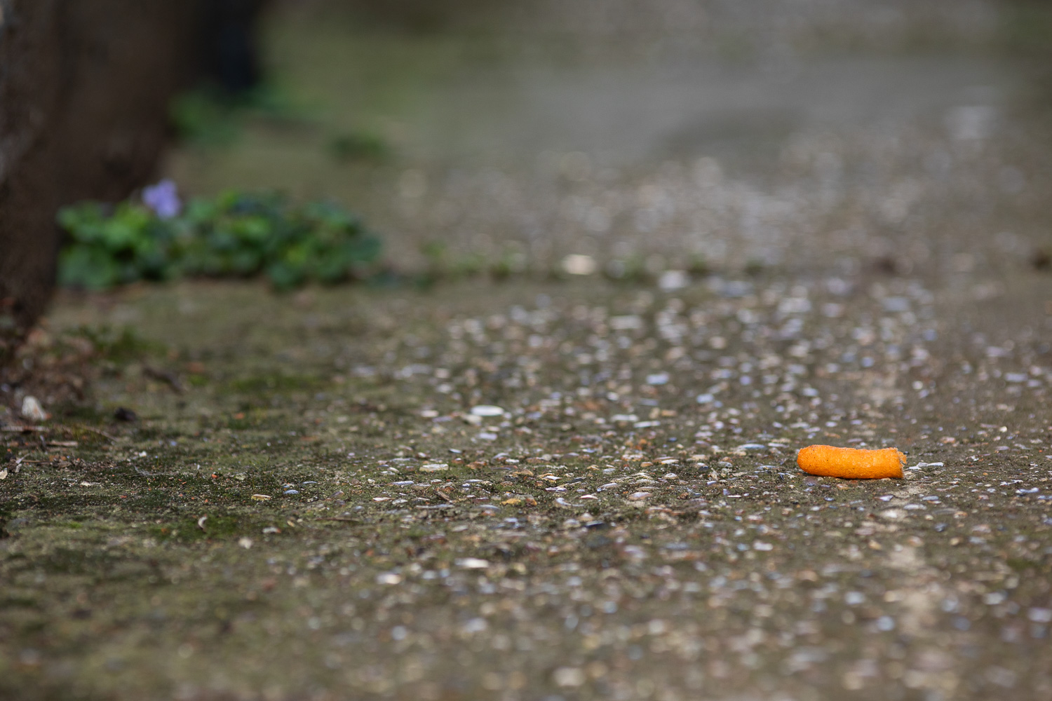 Photograph of a Wotsit cheesy crisp on a pathway, with out of focus weeds in the background.