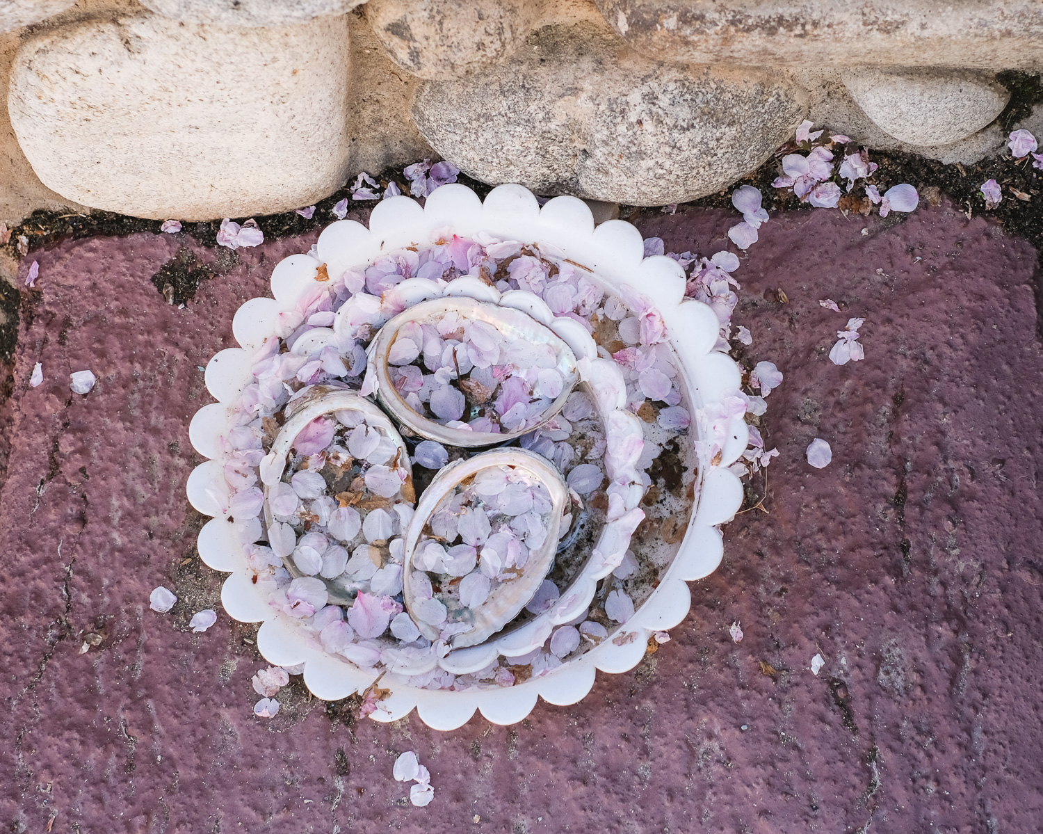 Photograph looking down at two bowls and 3 shells stacked within each other, covered/filled with fallen cherry blossom petals, on a pink-painted concrete floor, with part of a wall visible in the top portion of the frame.