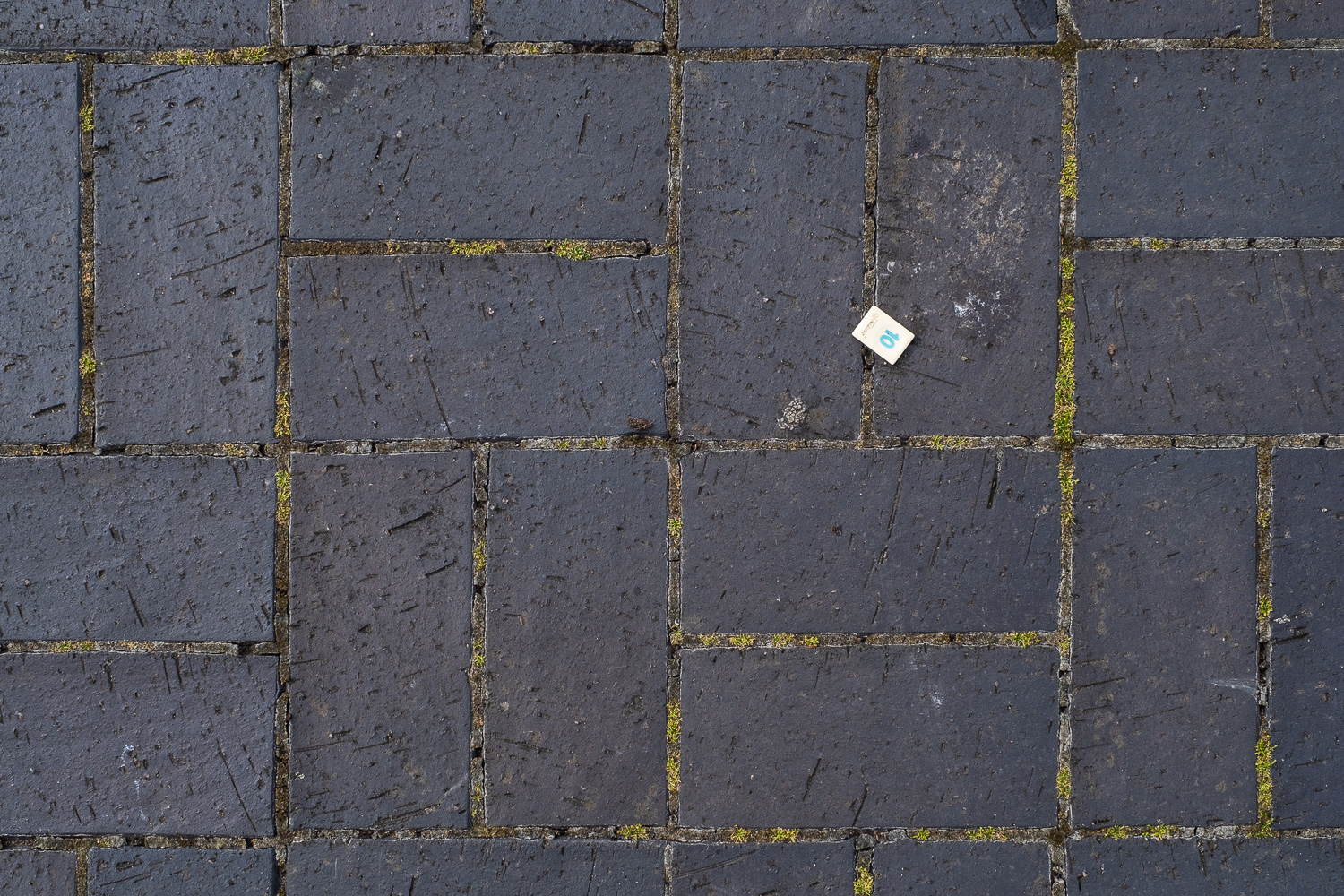 Photograph looking down at a plastic Rummikub tile with '10' in blue on it. It is on a paved surface with dark grey brick and moss growing on the mortar between them.