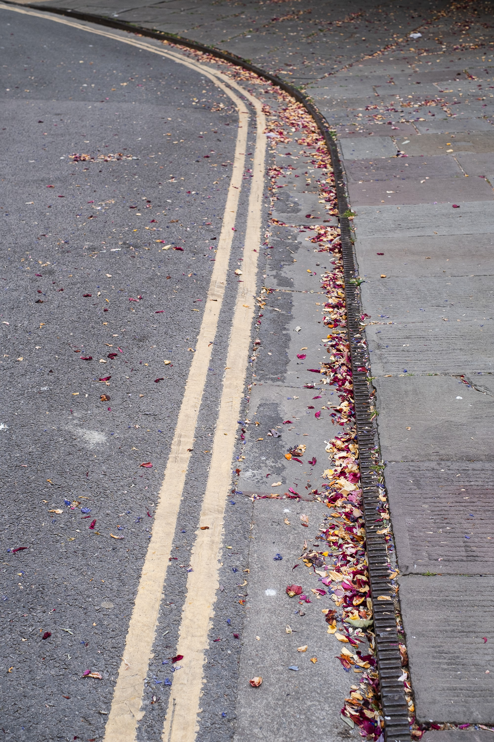 Photograph of dried, predominantly pink, flower petals in the gutter at the side of the road, particularly filling the dip by the metal kerb. There are double yellow lines to the left and paving slabs to the right. The road is straight through most of the frame and bends sharply to the left in the top left corner.