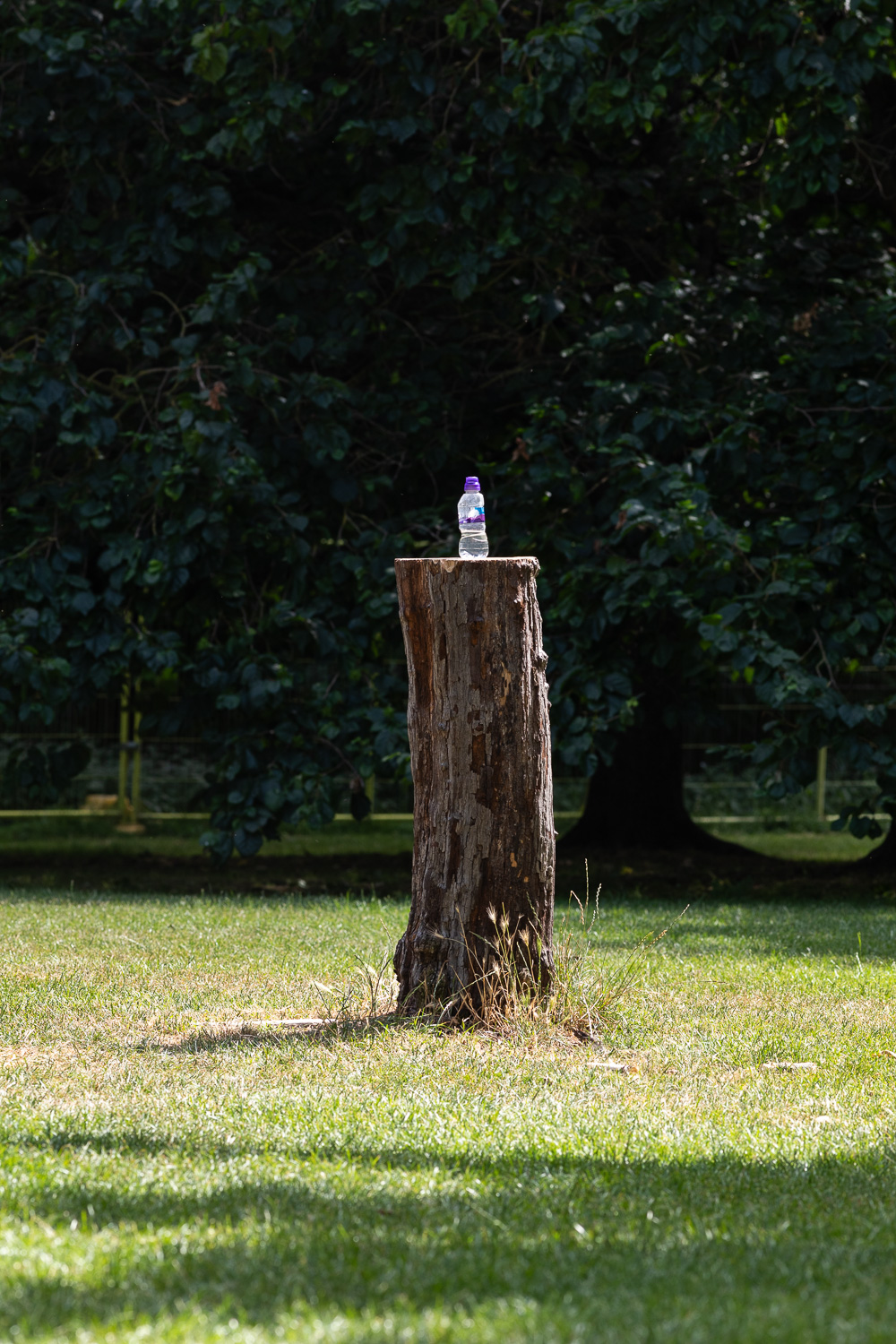 Kensington, London, UK, June 2026 Photograph of a bottle of drinking water standing on a tree trunk in a park, as if it's a sculpture on a plinth. The trunk is surrounded by grass and there are large trees in the shade behind.