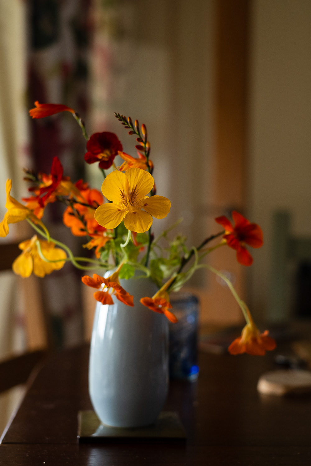 Photograph of a small vase of yellow and orange nasturtium and forsythia in warm light, on a table with out of focus door and curtains behind.
