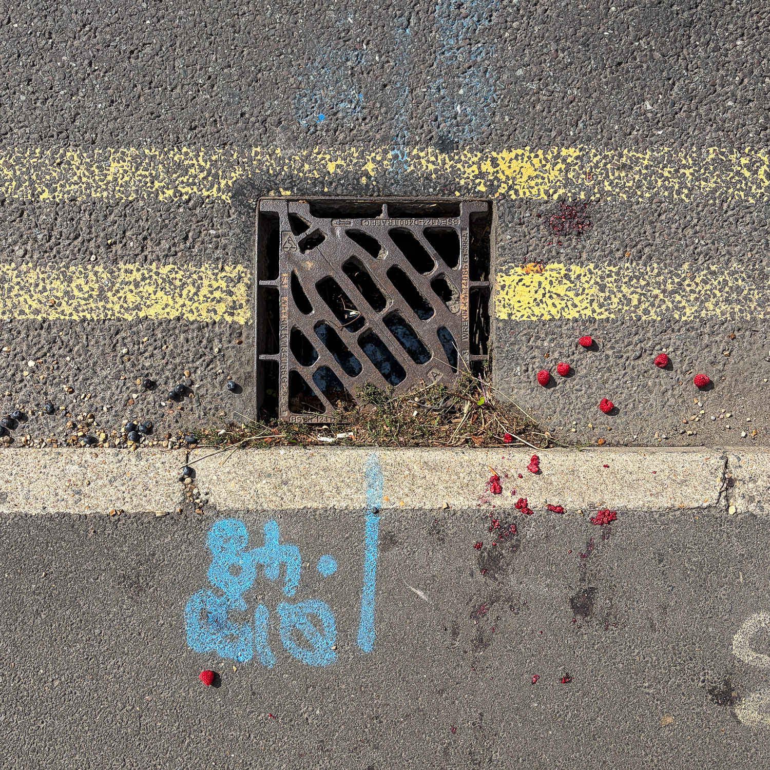 Photograph looking down at the edge of a road with a drain in the centre, curb below, double yellow lines either side and light blue spray painted numbers on the pavement at the bottom. To the left are blueberries and to the right raspberries are spilt and squashed on the floor.