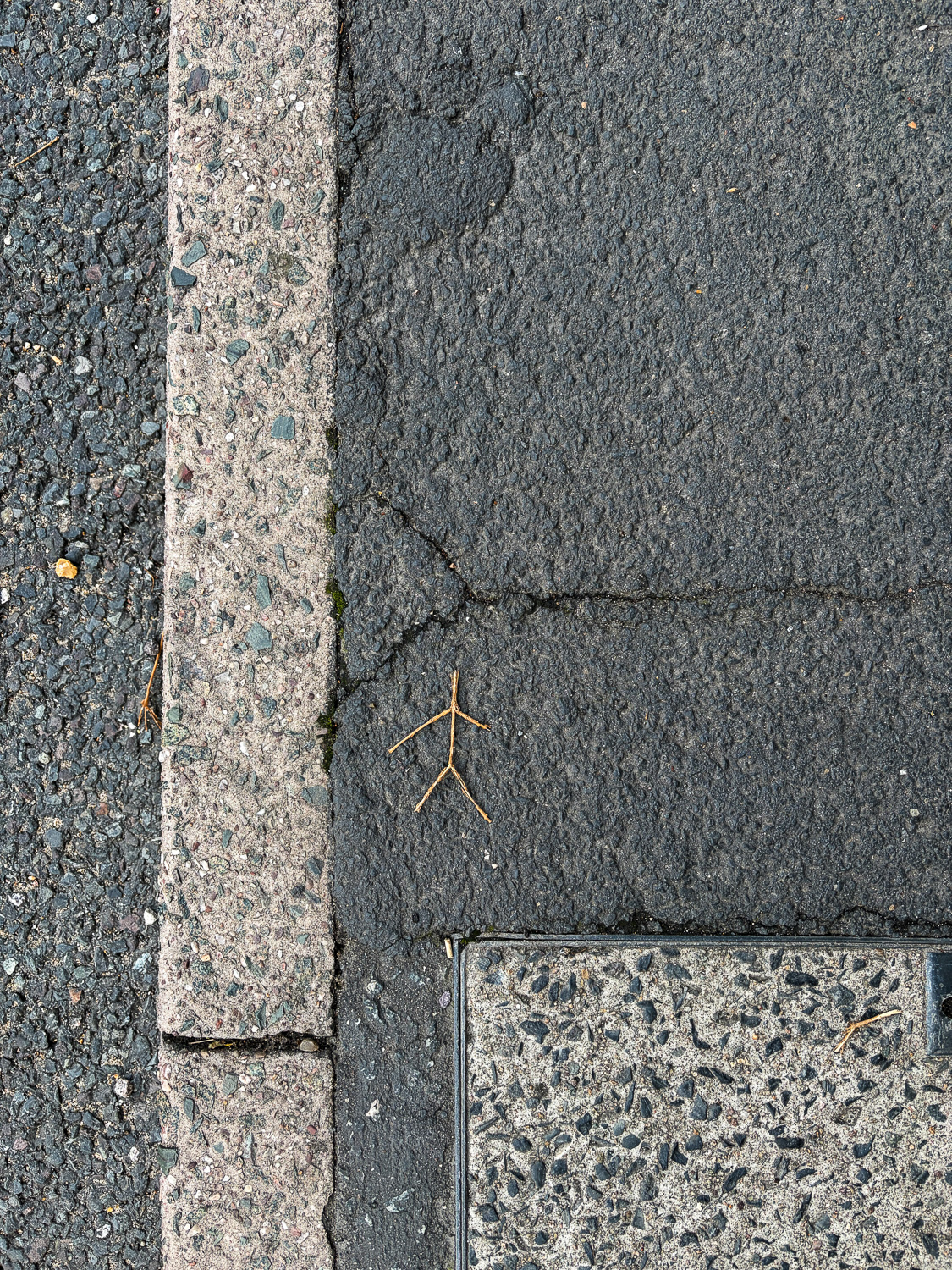 Photograph looking down at the edge of a pavement with a twig in the shape of a stick man. The curb is to the left of the frame and there's a utility cover at the bottom right.